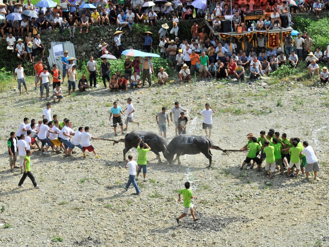 12 khoanh khac ky quac trong nam 2016-Hinh-10